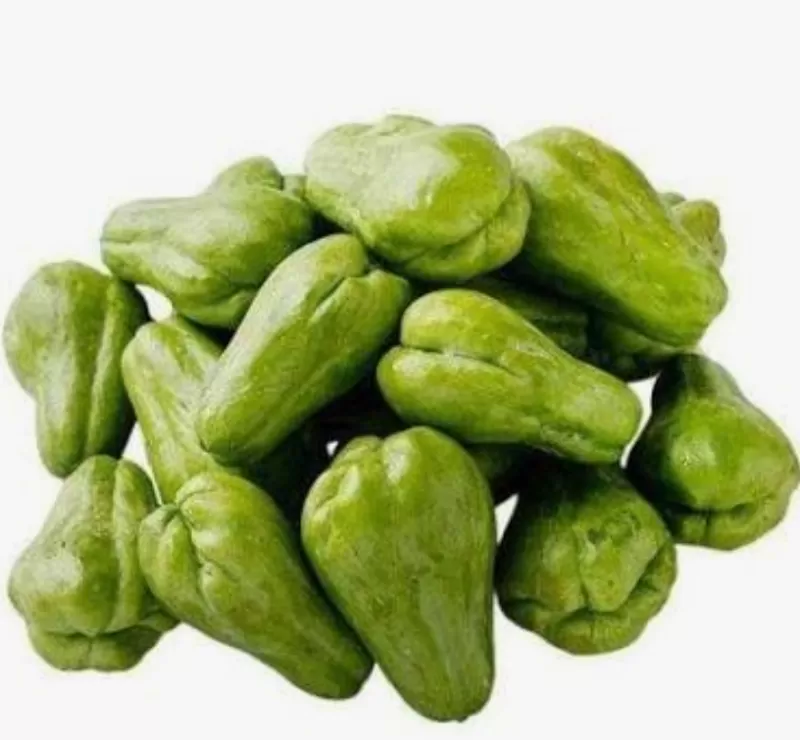 Labuh siam Baby / pack 250gr